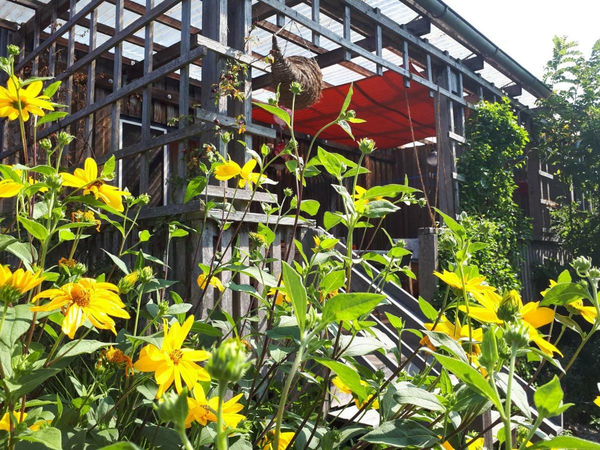 Holzhaus Mit Gruener Aussicht Zum Erholen Villa Burgheim Bagian luar foto